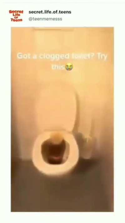 to unclog a toilet