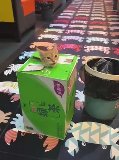 Boxes