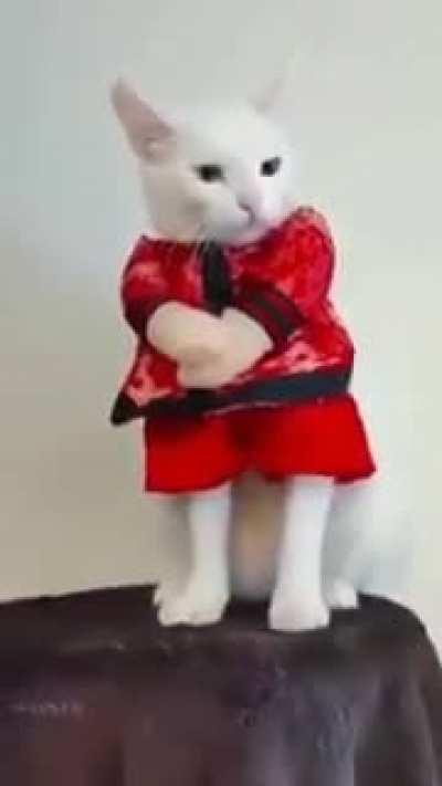 Kung-fu master is very strict 😄