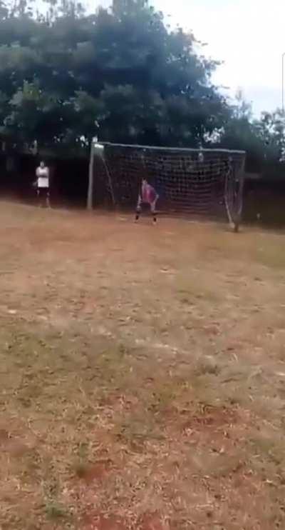 Brasil en cuartos de final: 