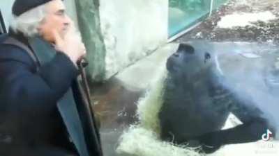 What fine young lads