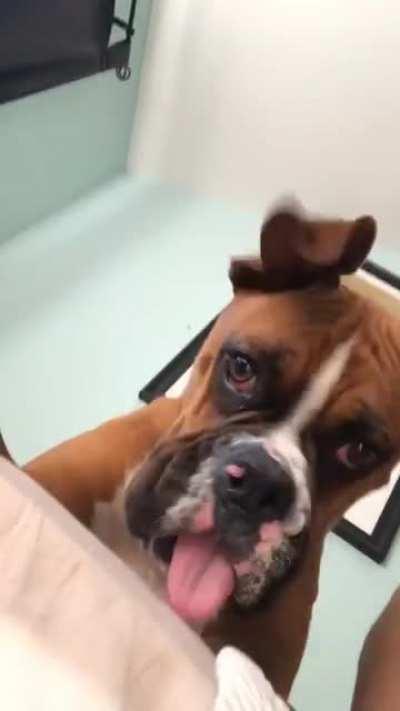 Phone reflection fun