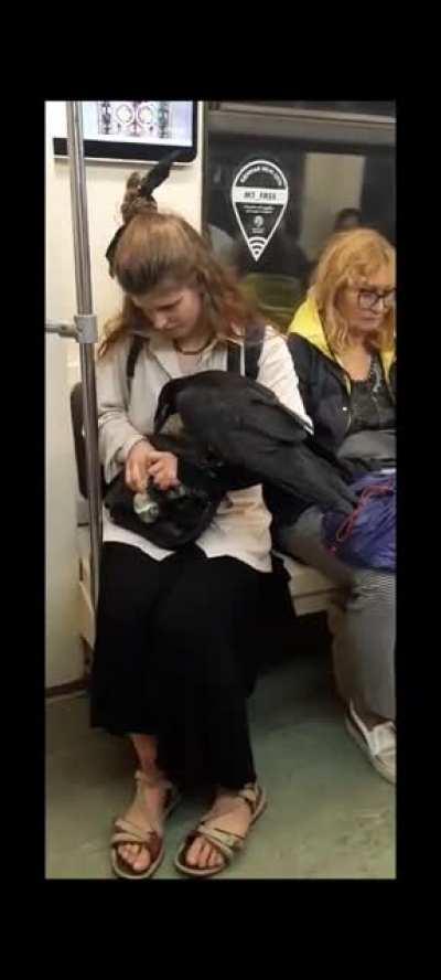 Crow Lady inside Moscow Metro