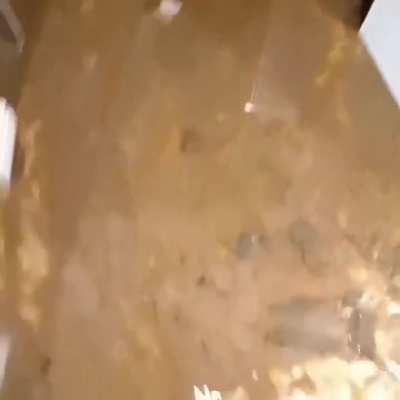 What tf where they doing in the room