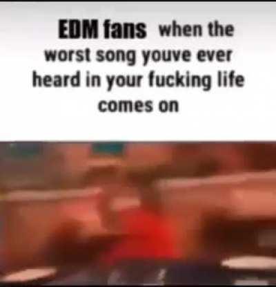 as an edm listener i approve