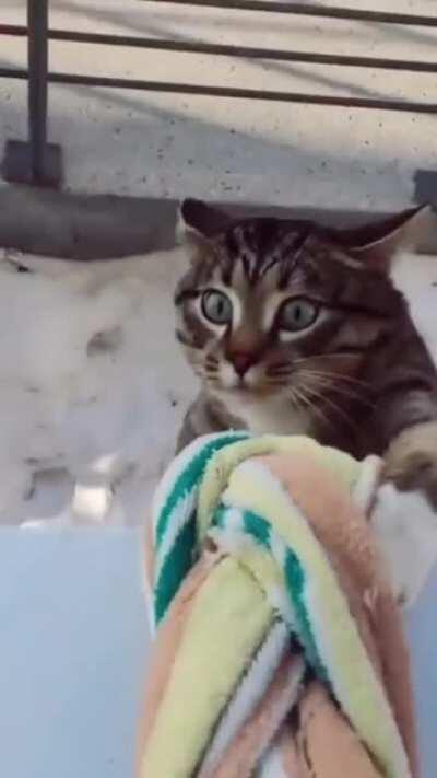 I help my friend to come home