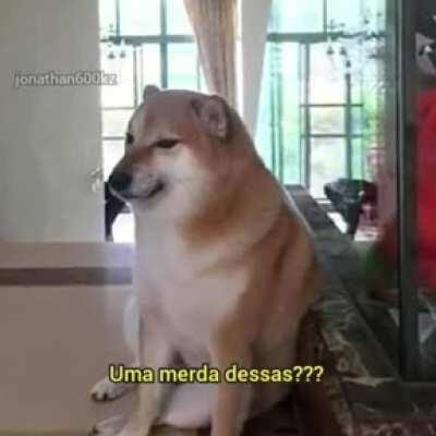 Sério mesmo amigão