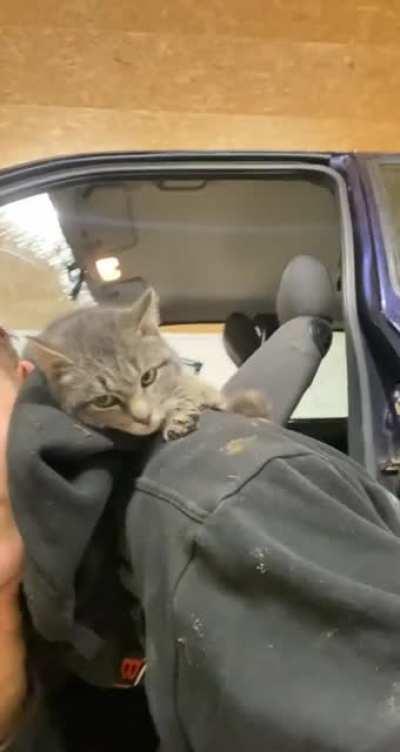 She saw a nice warm place so she just went there