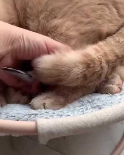 What are you hiding there?