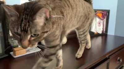 Lilith is not shy about speaking her mind.