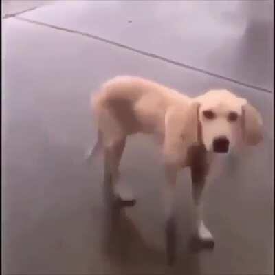 I don't think its arguable. He is vibing