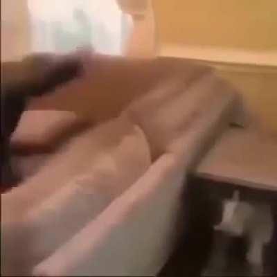 MONKE! NOOOOOOOOOOOOOOOOO