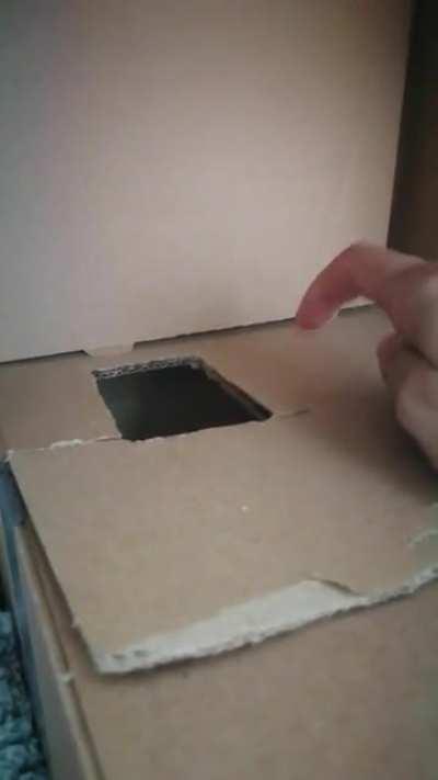 Knock, knock, who's there?