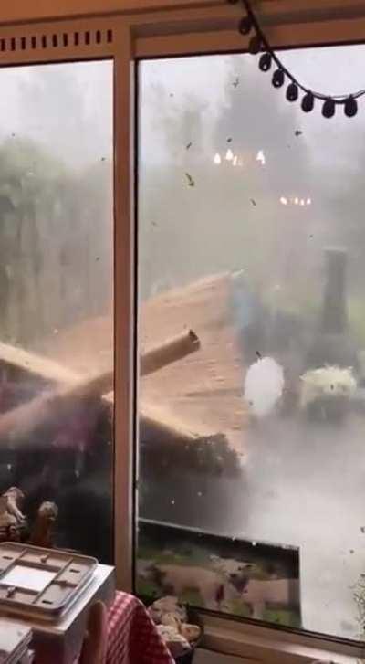 There go’s the backyard.