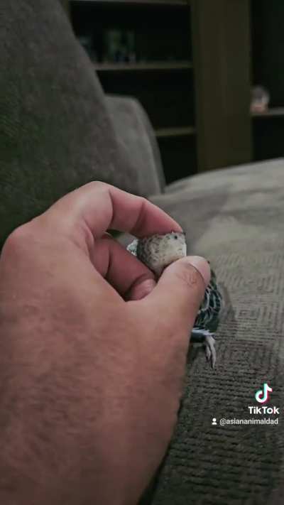 Approach stealthily for snuggles? Accomplished.