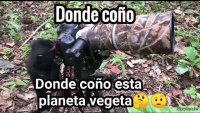 Orslok en el rewind 😎😈