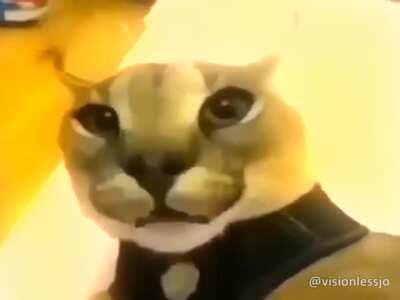 ITS THAT TIME OF THE WEEK AGAIN FOLKS