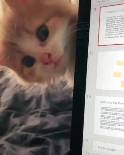 Arrest this criminal vandalizing property!