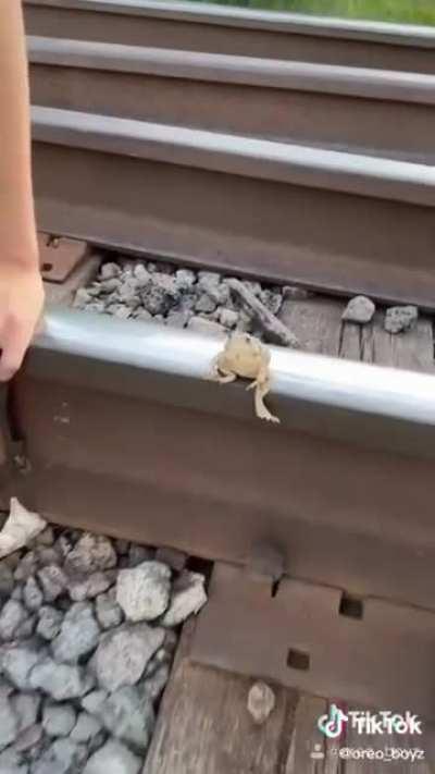 This frog is definitely a bro.