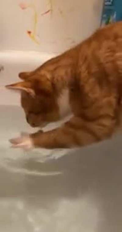 Touch Tha Water