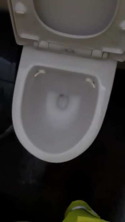This toilet sure can suck hard
