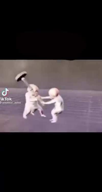 East, Southeast and South Asians fighting for dominance in this subreddit