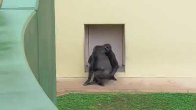 So..we're throwing spinning shit now?