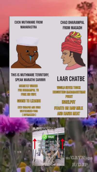 Pavtards gonna mass report me for this 😹💦🙏🏻