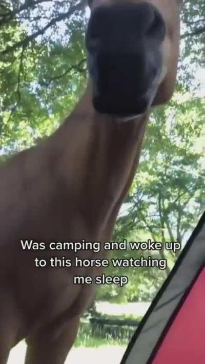 Imagine if you were there 