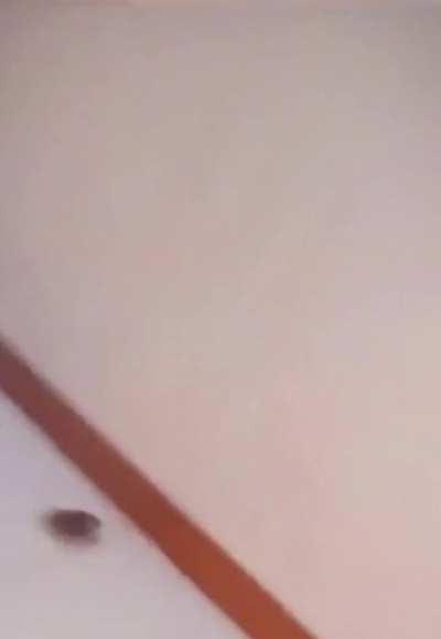 The most dangerous place is the safest place