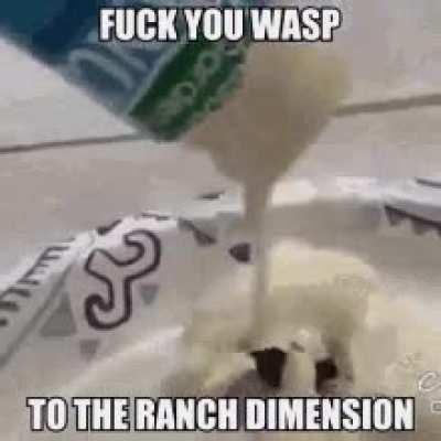 I am thinking of adding Ranch dimension to my game (video found on Reddit)