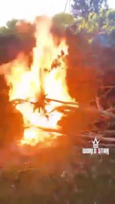 That escalated quickly