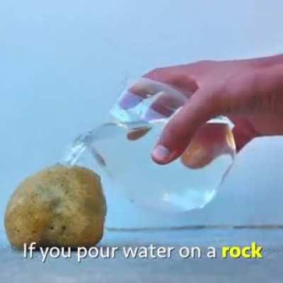 Well that wasn’t interesting