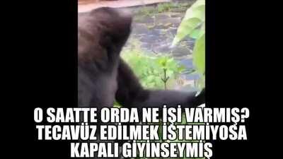 kadının giyim kuşamına karışan orospu evlatları, dışardan bakıldığında aynı buna benziyosunuz