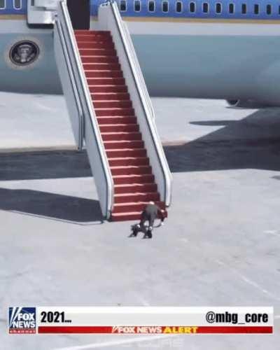 Best meme of the year