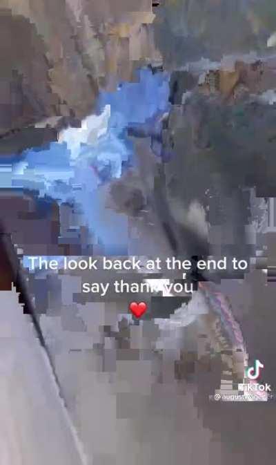 Helping the trash panda escape