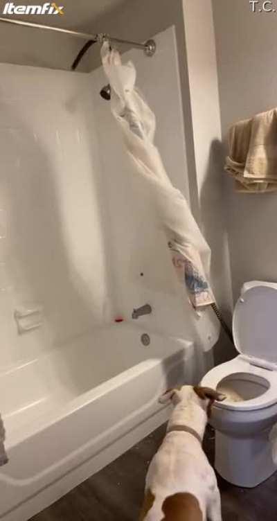 Plumber's Snake Goes Wild In Neighbor's Bathroom...