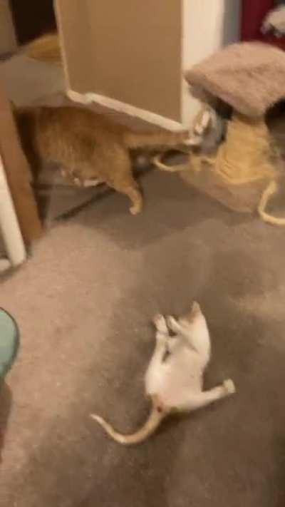 Just gonna walk away from this one…