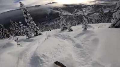Mellow backcountry in the PNW