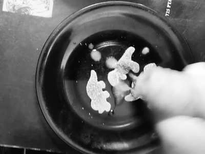 Only triceratops survived