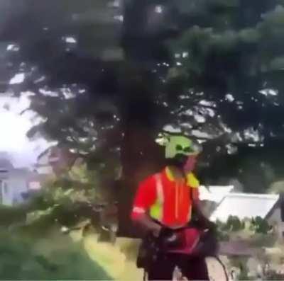 tree physics glitch out