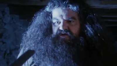 You're a Wizard Har--