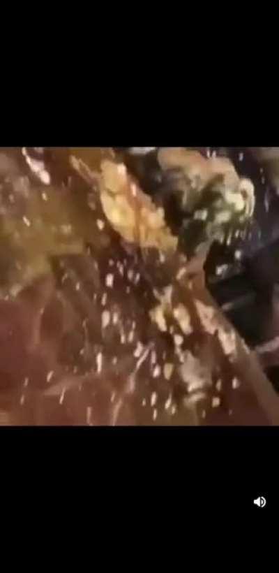 El nacimiento del joker.