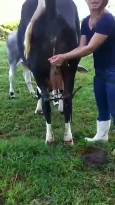 A nature way to wash your hands.