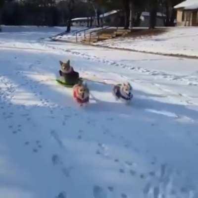 HoRIfic vIdeo Of ABUSe OF pOwer bY kiNg