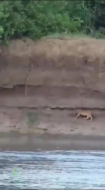 I couldn’t watch it’s end !