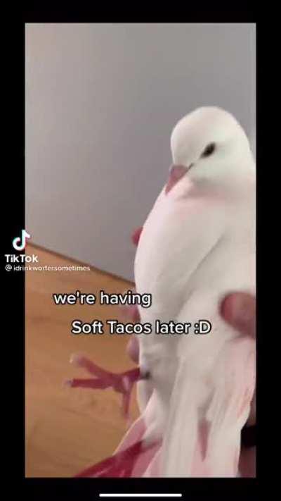 How extroverts adopt introverts