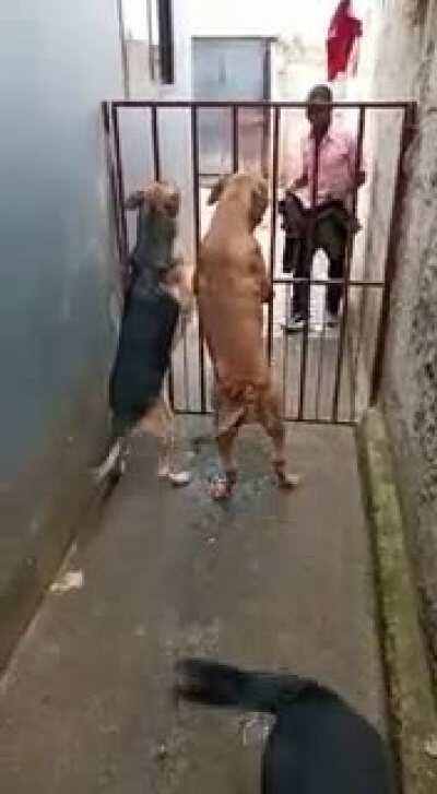 Mmmyaaahh!!! Mmhyaaa! Lol..