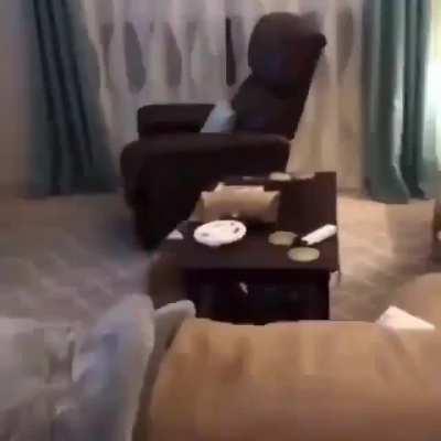 Cat shocked by disappearing human