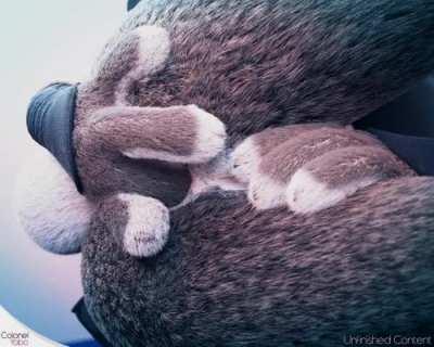 Fluffy (Colonelyobo)